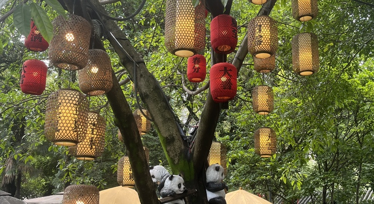 Chengdu Walking Tour: A Local's Guide to History & Slow Life China &mdash; #3