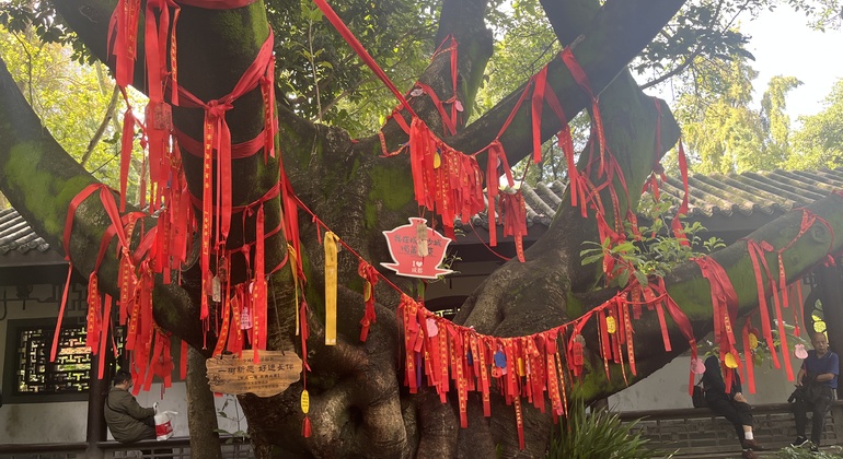 Chengdu Walking Tour: A Local's Guide to History & Slow Life China &mdash; #5