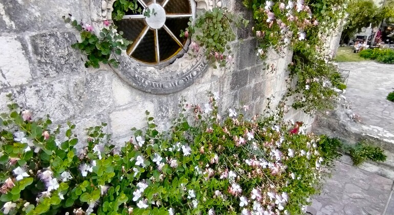 Budva Old Town Walking Tour Montenegro &mdash; #6