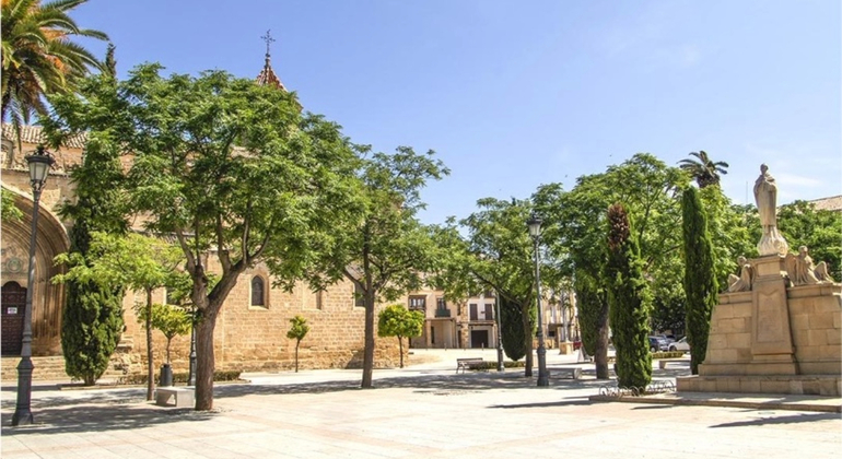Úbeda Esencial: Tour Autoguiado creado por Guía Oficial local España &mdash; #5