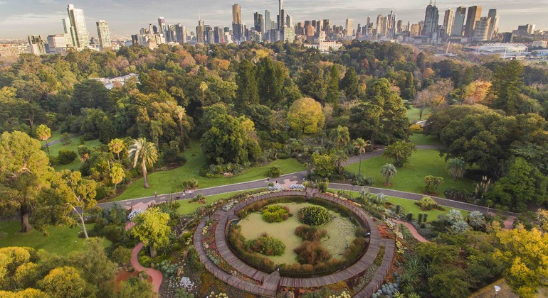 melbourne-city-essentials-walking-tour-part-two-es-2