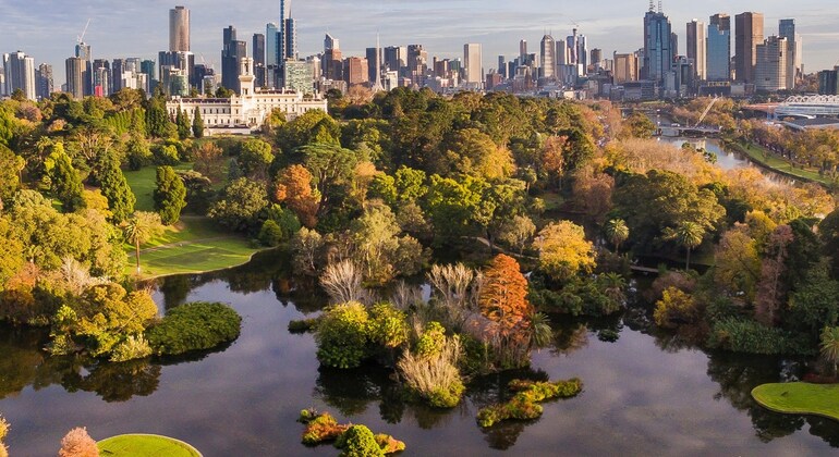 Tour gratuito a piedi “Melbourne City Essentials”: Prima parte Australia &mdash; #5