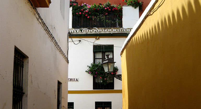 Free Tour of the Santa Cruz Neighborhood Spain &mdash; #6