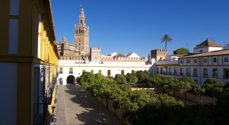 Free Tour of the Santa Cruz Neighborhood Spain &mdash; #8