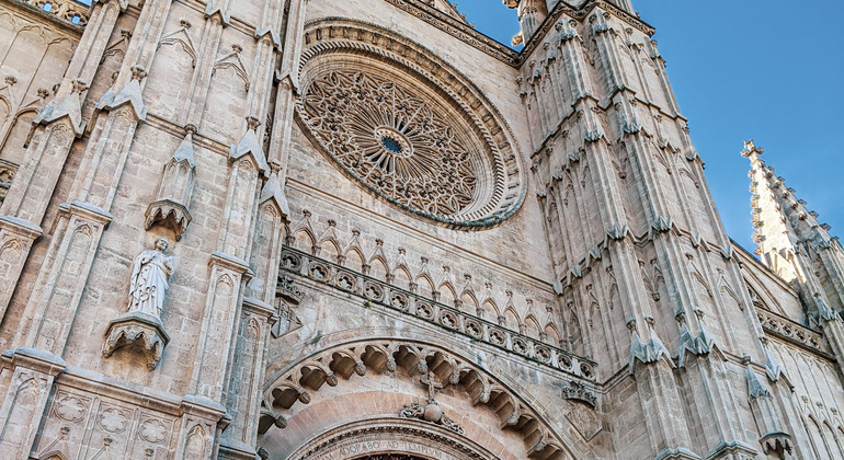 Vivere Palma: o Free Walking Tour da Vivere Maiorca