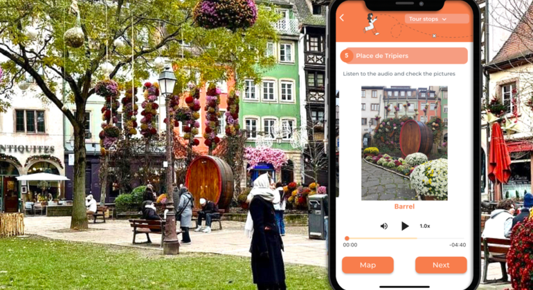 Estrasburgo Esencial: Tour Autoguiado creado por Guía Oficial local Francia &mdash; #8