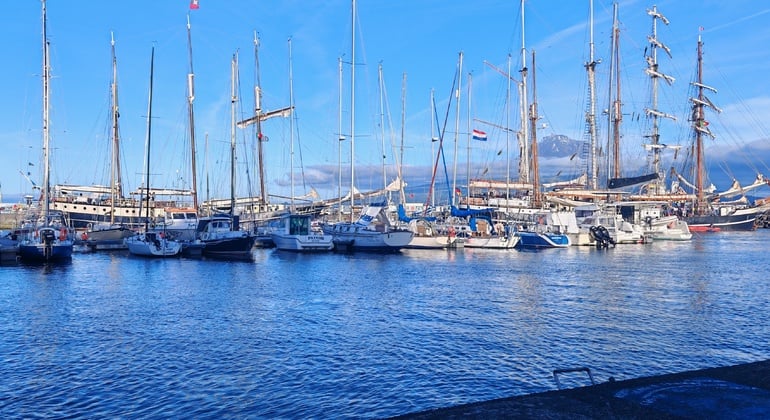 Horta City Walking Tour: History, Marina & Local Life