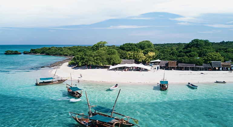 Safari Blue Adventure: excursión de día completo con almuerzo incluido Tanzania &mdash; #4