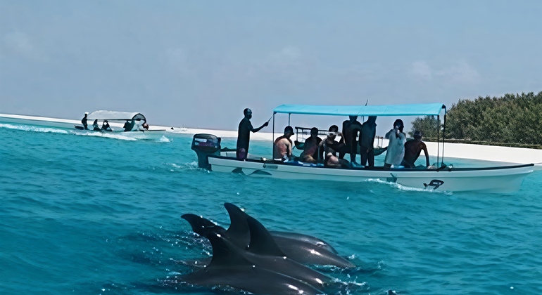 Excursión para ver delfines en Mnemba, Zanzíbar Tanzania &mdash; #6