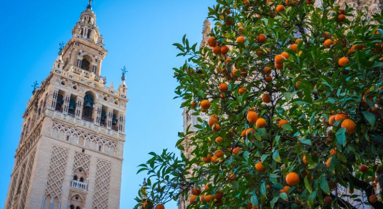 Kostenlose Führung „Das geheime Sevilla“: Entdecken Sie die Stadt in ihrer ganzen Vielfalt Spanien &mdash; #8