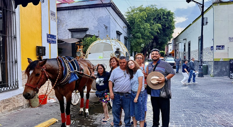 signature-city-tour-the-private-experience-in-puerto-vallarta-en-40