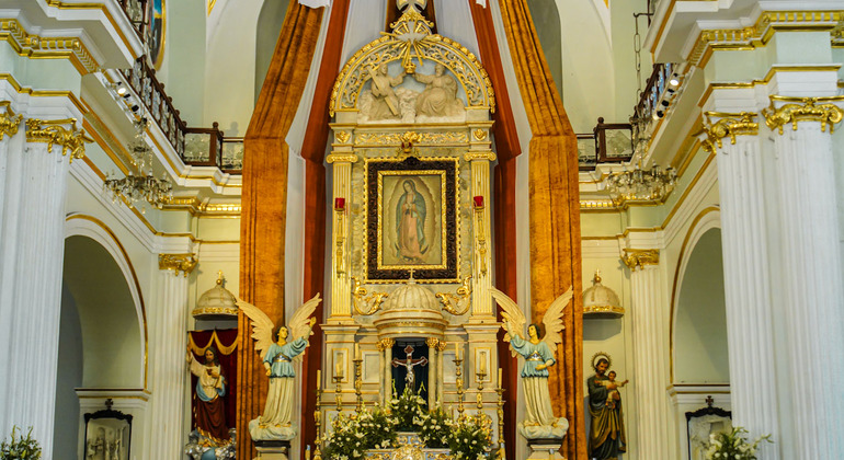 signature-city-tour-the-private-experience-in-puerto-vallarta-en-46