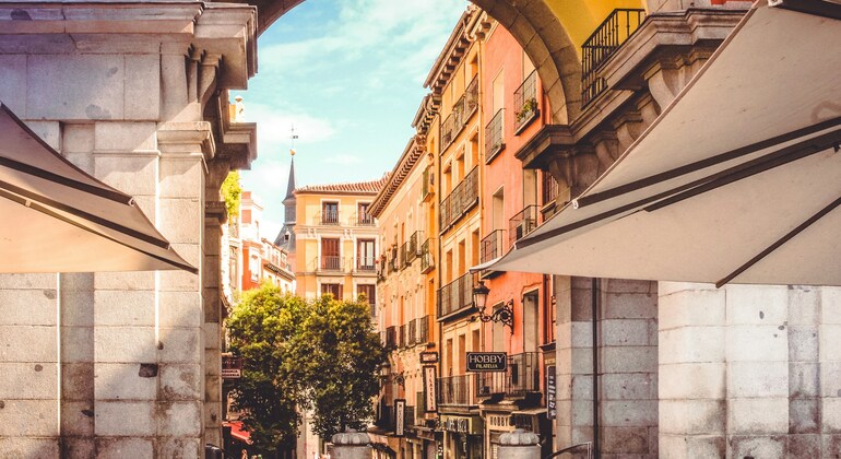 Free Tour: The Soul of Madrid through its Story & Culture Spain &mdash; #3