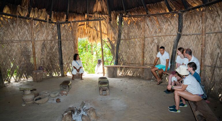 Taironaka Ancestral Tour