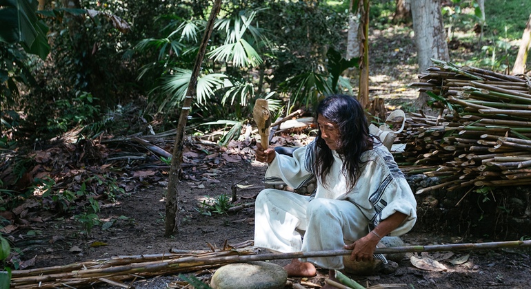 taironaka-ancestral-tour-es-1