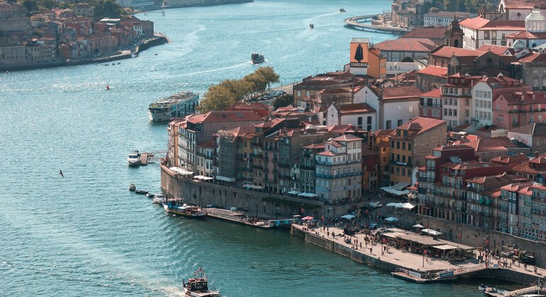 Oporto Encantado: Free Tour por el Centro Histórico en Español Portugal &mdash; #2