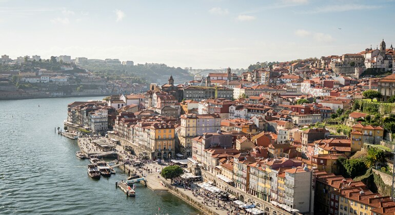 Oporto Encantado: Free Tour por el Centro Histórico en Español Operado por Enchanted Porto: Free Tour of the Historic Center in Spanish