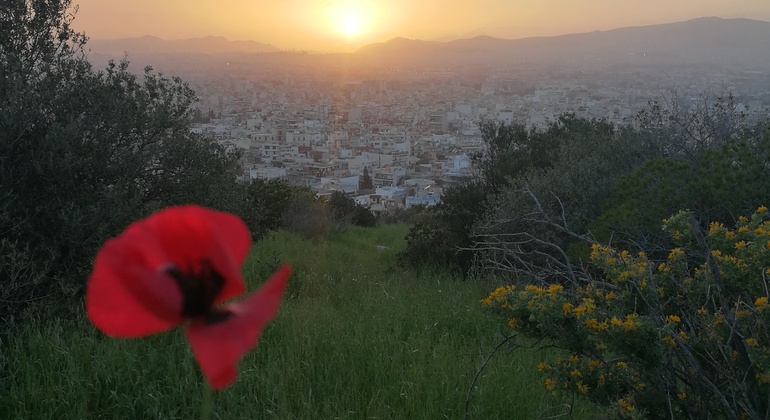 Visite gratuite de la belle et secrète Athènes Grèce — #3