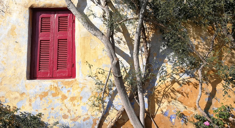 Visite gratuite de la belle et secrète Athènes Grèce — #4