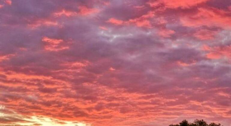 Visite gratuite de la belle et secrète Athènes Grèce — #10