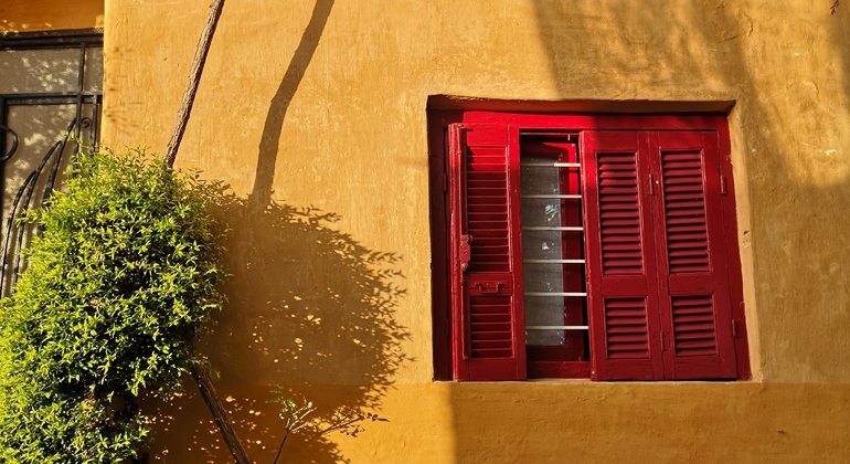 Visite gratuite de la belle et secrète Athènes Grèce — #12