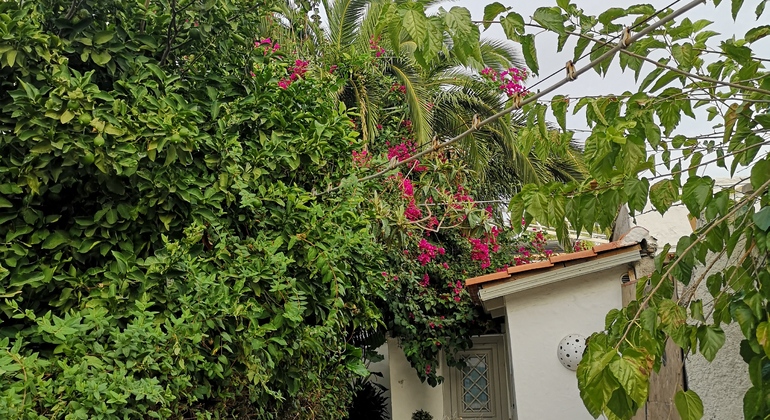 Visite gratuite de la belle et secrète Athènes Grèce — #13