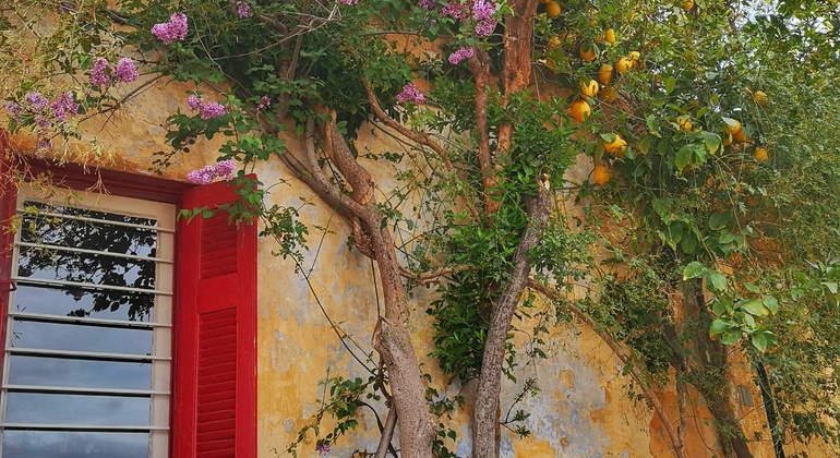 Visite gratuite de la belle et secrète Athènes Grèce — #15