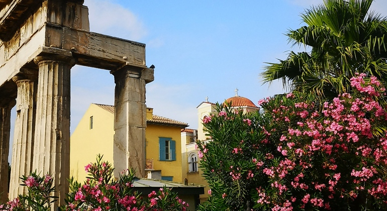 Visite gratuite de la belle et secrète Athènes Grèce — #18