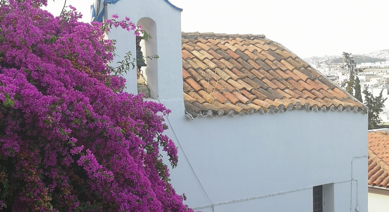 Visite gratuite de la belle et secrète Athènes Grèce — #19