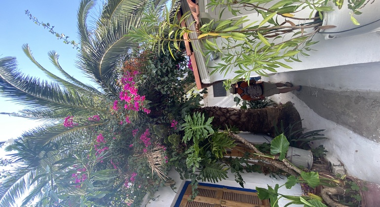 Visite gratuite de la belle et secrète Athènes Grèce — #20