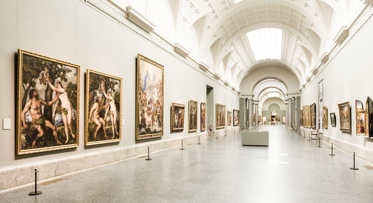 Visita gratuita al Museo del Prado: Scoprire il tesoro dell'arte mondiale Fornito da Trip Tours Madrid
