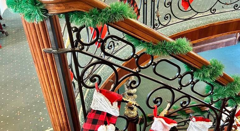 Christmas & New Year Cruise with Live Music Hungary &mdash; #5