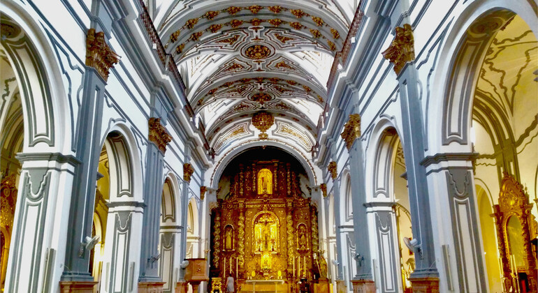 MálagaWine and Tapas Night Tour with Local Guide Spain &mdash; #3