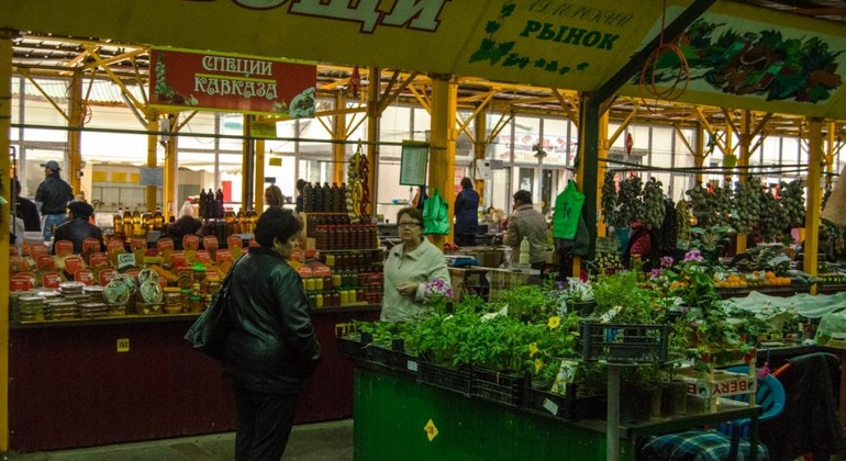 Mercado Adler e excursão ao Southern Crop Park Rússia — #1