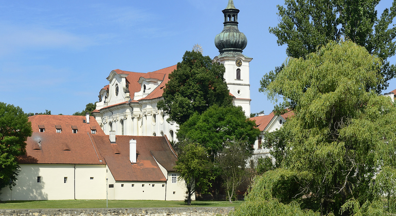 segway-experience--hour-prague-parks-tour-es-6