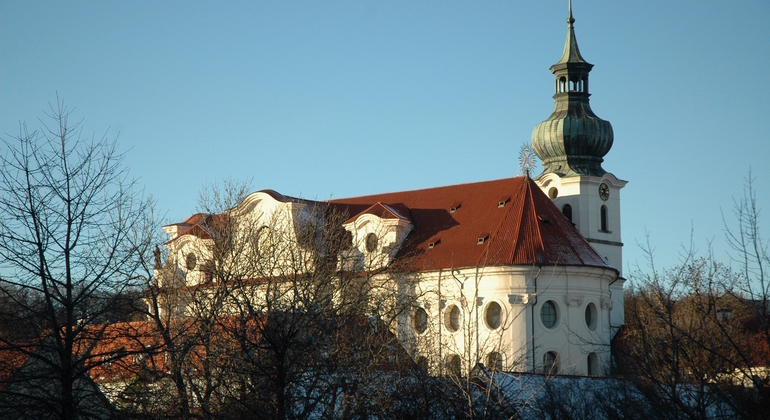segway-experience--hour-prague-parks-tour-es-7
