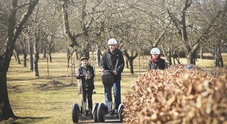 segway-experience--hour-prague-parks-tour-es-10