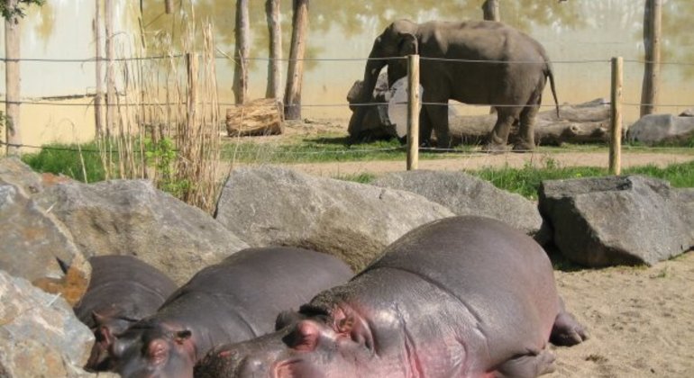 Visite du château de Troja et du zoo de Prague République tchèque — #1