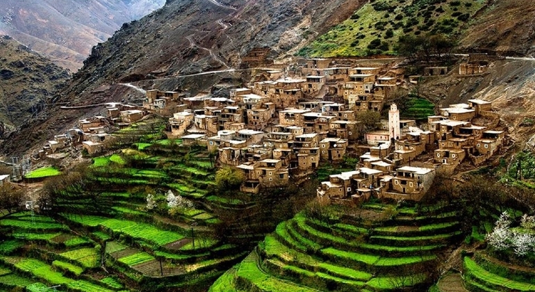 day-trip-from-marrakech-to-atlas-mountains-and--valleys-with-camel-en-1