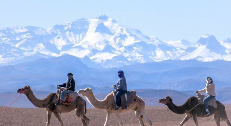 day-trip-from-marrakech-to-atlas-mountains-and--valleys-with-camel-en-2