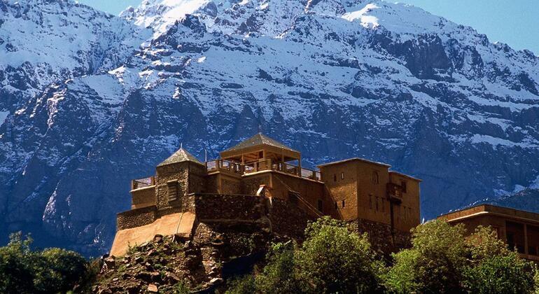 day-trip-from-marrakech-to-atlas-mountains-and--valleys-with-camel-en-4