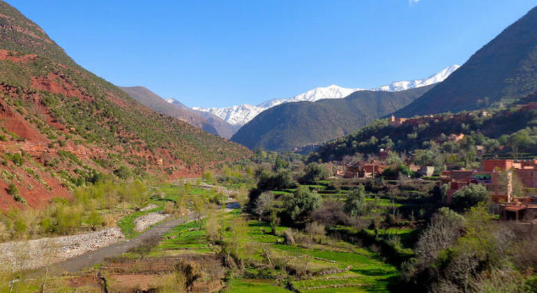 day-trip-from-marrakech-to-atlas-mountains-and--valleys-with-camel-en-5
