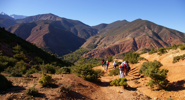 day-trip-from-marrakech-to-atlas-mountains-and--valleys-with-camel-en-6