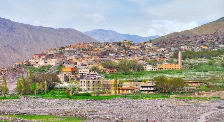 day-trip-from-marrakech-to-atlas-mountains-and--valleys-with-camel-en-8