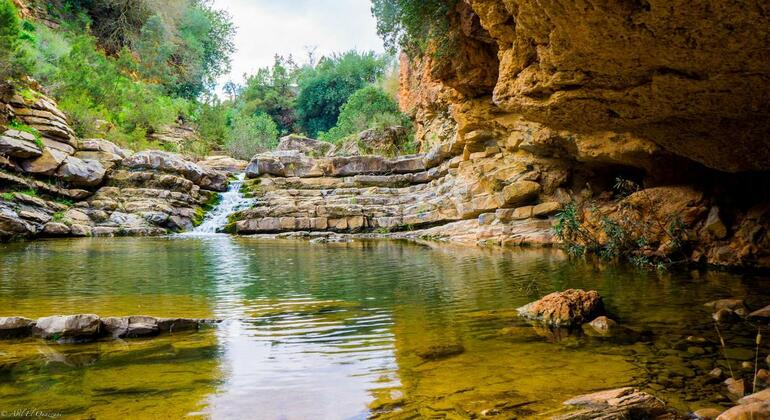 day-trip-from-marrakech-to-atlas-mountains-and--valleys-with-camel-en-9