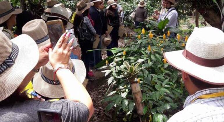 Experiência do café: Tradição e Essência Organizado por Paraiso Travels