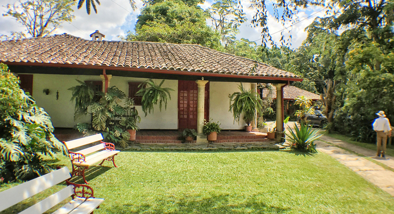 L'esperienza del caffè: Tradizione ed essenza Colombia — #5