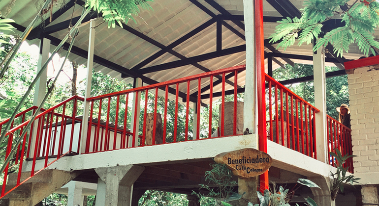 L'esperienza del caffè: Tradizione ed essenza Colombia — #7