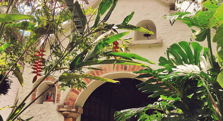 L'esperienza del caffè: Tradizione ed essenza Colombia — #10