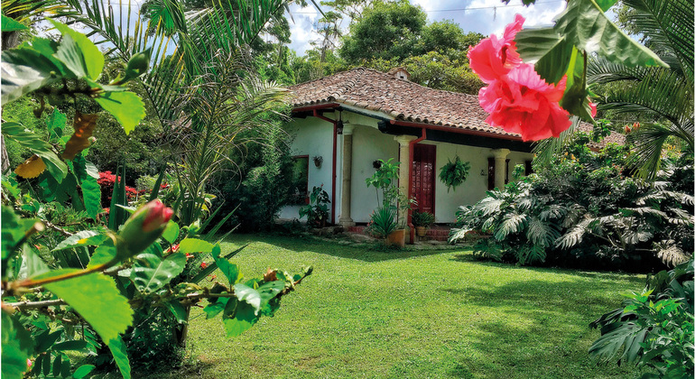 L'esperienza del caffè: Tradizione ed essenza Colombia — #11